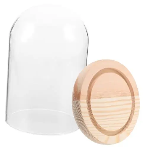 Produktbild: PHENOFICE Glasabdeckung Sukkulenten-ausstellungskuppel Transparent Food-kuppel Dekorativ Food Dome-abdeckung Konservierte Blumenkuppel Dekoration Pflanze Terrarium Kuppel Pflanzenkuppel 3x6