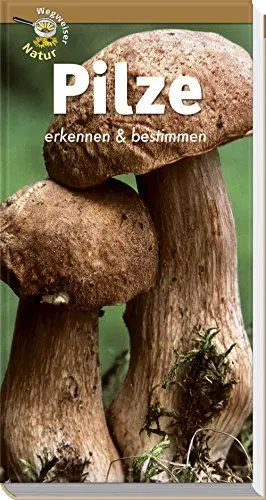 Produktbild: Pilze erkennen und bestimmen: Wegweiser Natur