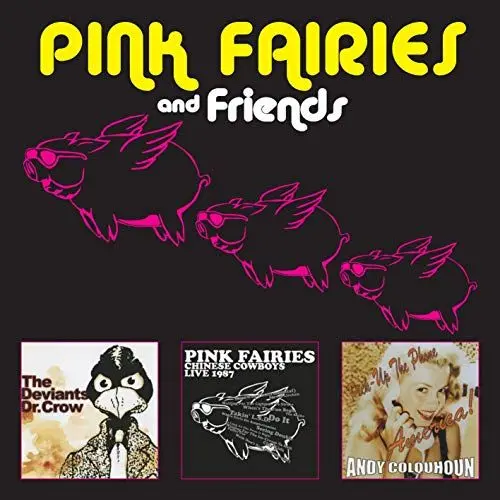 Produktbild: Pink Fairies and Friends