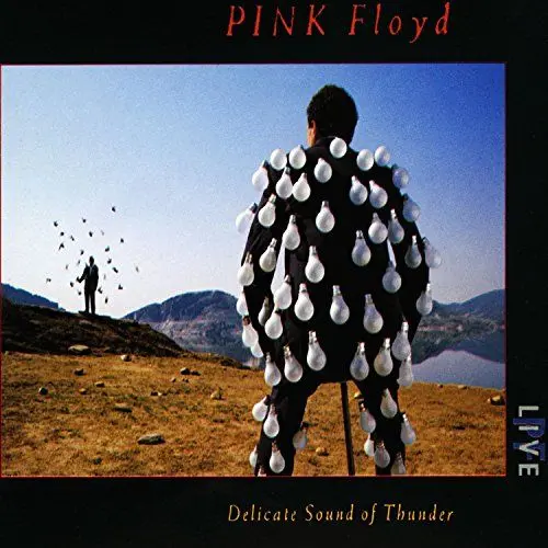 Produktbild: Pink Floyd. Delicate Sound Of Thunder: Live. 2 CDs.
