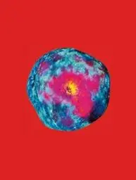 Produktbild: Pipilotti Rist: Dein Speichel ist mein Taucheranzug im Ozean des Schmerzes: Kat. Kunsthaus Zürich