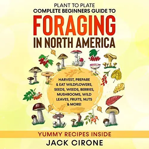 Produktbild: Plant to Plate: Complete Beginners Guide to Foraging in North America: Harvest, Prepare & Eat Wildflowers, Seeds, Weeds, Berries, Mushrooms, Wild Leaves, Fruits, Nuts & More!