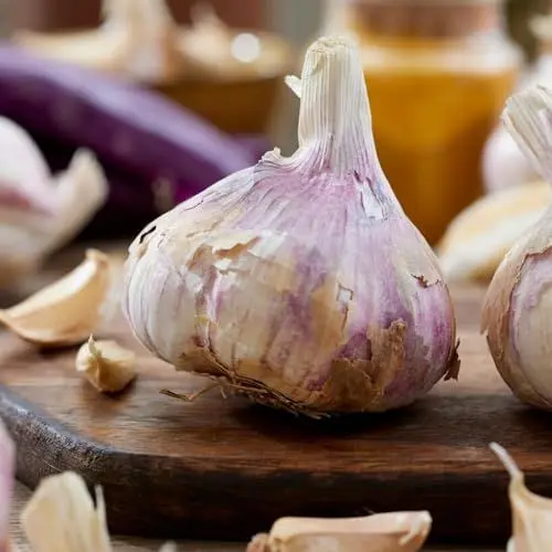 Produktbild: Steckzwiebeln Germidour (500 gr) - Frühlingszwiebeln - Hoher Qualität aus Holland (kein Samen) - Mild scharfe Gemüsezwiebel - Steckzwiebel größe 14-21 mm