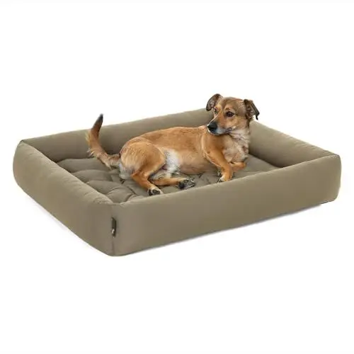 Produktbild: Pointer | Hundebett Kleine Hunde - Orthopädisches Hundebett mit Herausnehmbarer Matratze, Waschbar bis 95°C, Trocknergeeignet, Kratzfest & Bissfest, Made in Germany (M - 70x60 cm, Goldbraun)