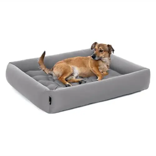 Produktbild: Pointer | Hundebett Mittelgroße Hunde - Orthopädisches Hundebett mit Herausnehmbarer Matratze, Waschbar bis 95°C, Trocknergeeignet, Kratzfest & Bissfest, Made in Germany (L - 80x70 cm, Hellgrau)