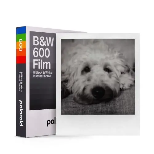 Produktbild: Polaroid B&W Film für 600