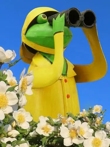 Produktbild: Pommerntraum ® | Zaunhocker Pfostenhocker Zaunfigur Dekorationsfigur Gartendekoration Frosch Frösche SPANNERFROSCH (Spannerfrosch gelb)