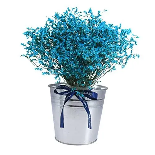 Produktbild: POPETPOP Eiseneimer-pflanzgefäß-Set Verzinkt Vintage-Stil Blumentöpfe Für Zuhause