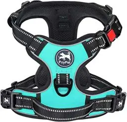 Produktbild: PoyPet Keine Pull Hundegeschirr Front Reflektierende Pet Weste für Hunde mit Einfache Kontrolle Griff und Rückseite perfekt für den täglichen Training, Walken, Running(Mint Blau,S)