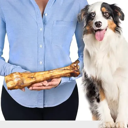 Produktbild: Premium Rinder-Unterbein für Hunde | Natürlicher Kauknochen aus Rindfleisch | Getreidefrei | Mit Vitaminen angereichert | Für empfindliche Hunde | Ideal zum Kauen und Knabbern