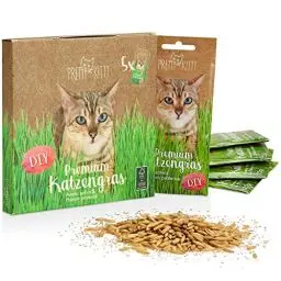 Produktbild: PRETTY KITTY Premium Katzengras Saatmischung: 5 Beutel je 25g Katzengras Samen für 50 Töpfe fertiges Katzengras – Eine grüne Katzen Wiese – Natürliche Katzen Leckerlies – Pflanzen Samen - Grassamen
