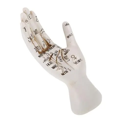Produktbild: PRETYZOOM Hellseherische Hand Chirologie Heimdekoration Skelett-handlesen Handstatue Für Halloween-Partys