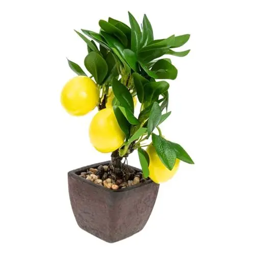 Produktbild: PRETYZOOM Künstlicher Zitronenbaum Bonsai-Pflanze Im Topf Stilvolles Realistische Details