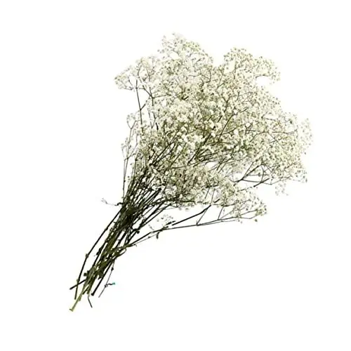 Produktbild: PRETYZOOM romantische konservierte trockenblumenstrauss trockenblumen straus Natural für Immer gypsophila Pflanzen getrocknete Blumen Geschenk künstlich Strauß Ornamente schmücken Weiß
