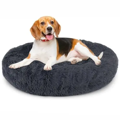Produktbild: Priksia Hundebett Katzenbett Rund Hundekissen Flauschig Katzenkissen Weich katzenkorb Waschbar Donut Plüsch Hundebett für Mittlere und Große Hunde Katzen 70cm Dunkelgrau