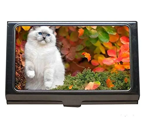 Produktbild: Professioneller Visitenkartenhalter, Haustier verlässt Naturkatze Herbst Visitenkartenetui für Männer und Frauen
