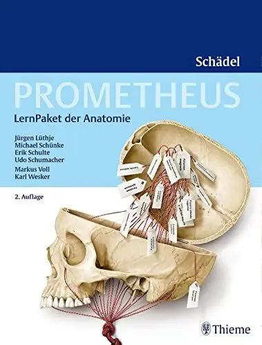 Produktbild: PROMETHEUS LernPaket Anatomie Schädel