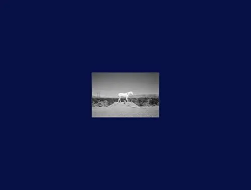 Produktbild: Prophetic Kingdom: Autopsis