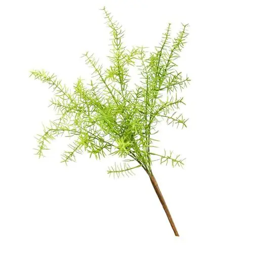 Produktbild: BAOFUYA Künstliche Algen-Aquariumdekorationen, Sehr Realistische Wasserunkräuter für Innendekoration, Kunststoff, 47 cm Länge