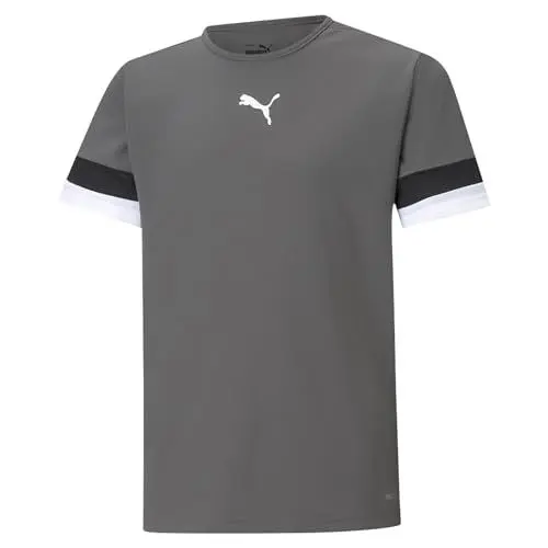 Produktbild: PUMA Unisex Kinder Teamrise Jersey Jr Shirt, Smoked Pearl-puma Black-puma White, 176 EU