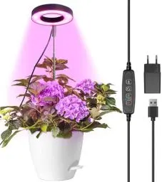 Produktbild: Qoolife Pflanzenlampe Led Vollspektrum, Grow Light für Zimmerpflanzen, Höhenverstellbare pflanzenlicht mit 3/9/12H Auto-Timer, 10 Helligkeits & 3 Lichter Modi, Ideal für Kleine Pflanzen