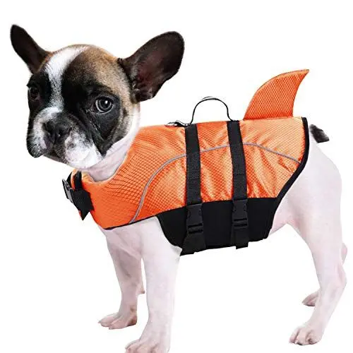 Produktbild: Queenmore Ripstop Hunde-Schwimmweste, Hai-Schwimmweste für Hunde, Sicherheits-Lebensretter mit hohem Auftrieb und Hebegriff für kleine und mittlere Rassen (Orange L)