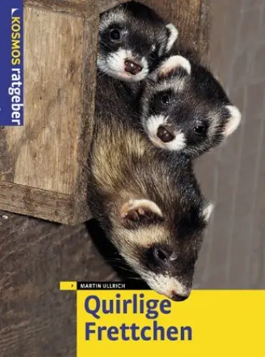 Produktbild: Quirlige Frettchen