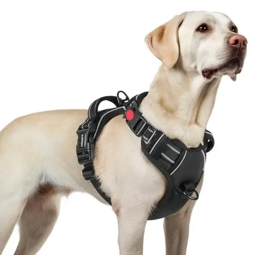 Produktbild: rabbitgoo Hundegeschirr Grosse Hunde, Verstellbare Geschirr Hund ohne Zug & Würgen, Anti Zug hundegeschirr mit Griff, weich Gepolsterte Reflektierende Brustgeschirr, Schwarz L