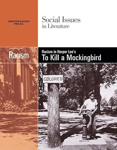 Produktbild: Racism in Harper Lee's to Kill a Mockingbird (Social Issues in Literature)