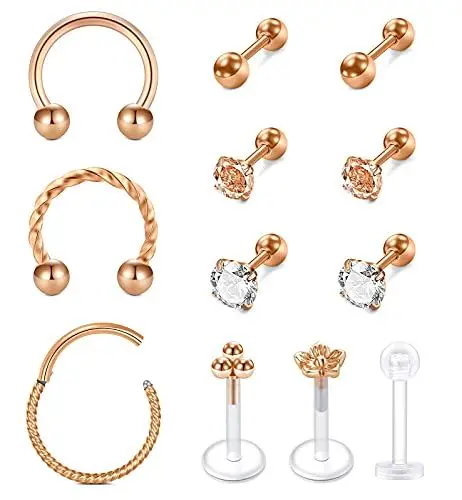 Produktbild: Rajnard 12 STK Helix Tragus Piercing Rosegold Cartilage Ohrstecker Ohrring Chirurgenstahl Knorpel Ohrpiercing 16G CZ Lippenpiercing Barbell Piercing Labret Monroe Schmuck Damen Männer