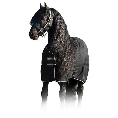 Produktbild: Rambo stabile Decke 100 g 84 schwarz/schwarz