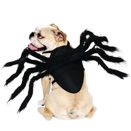 Produktbild: RANYPET Halloween Spinnenkostüm, Halloween Haustier Kostüm, Hundekostüm, Spinne Cosplay Haustier Kostüm für Katze Hund,Halloween Kostüm für Kleine mittelgroße Hunde und Katzen, Schwarz,mittel