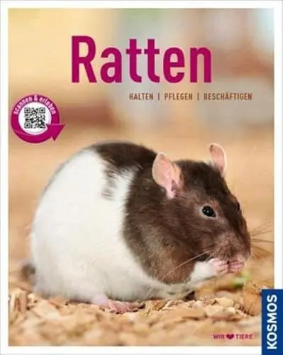 Produktbild: Ratten: halten, pflegen, beschäftigen (Mein Tier)