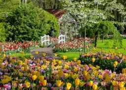 Produktbild: Ravensburger Puzzle 12000851 - Beautiful Gardens, Keukenhof Gardens, Niederlande - 1000 Teile Puzzle für Erwachsene und Kinder ab 14 Jahren, Puzzle mit Garten und Pflanzen Motiv