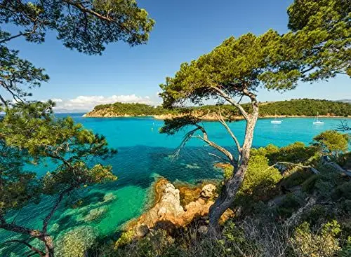 Produktbild: Ravensburger Puzzle 16583 - Schöne Aussicht - 500 Teile Puzzle für Erwachsene und Kinder ab 12 Jahren