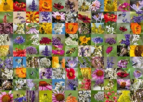Produktbild: Ravensburger Puzzle 17386 99 Bienen - 1000 Teile Puzzle für Erwachsene und Kinder ab 14 Jahren, Black