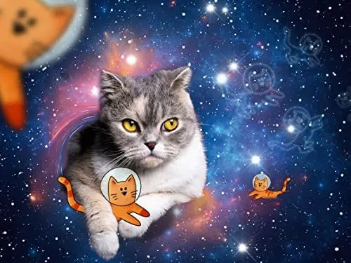 Produktbild: Ravensburger Puzzle 17439 Katzen fliegen im Weltall - 1500 Teile Puzzle für Erwachsene und Kinder ab 14 Jahren