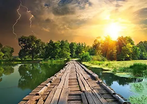 Produktbild: Ravensburger Puzzle 19538 - Mystisches Licht - 1000 Teile Puzzle für Erwachsene und Kinder ab 14 Jahren, Natur-Aufnahme zum Puzzeln