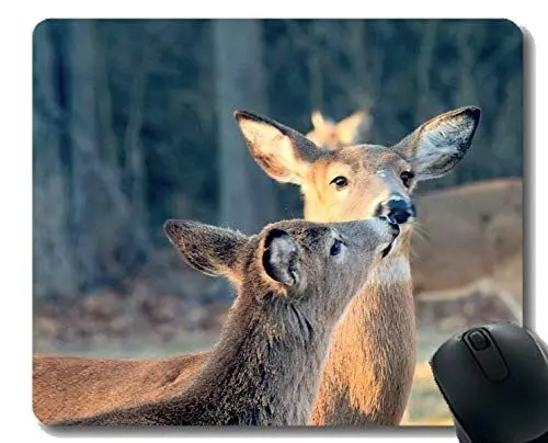 Produktbild: Rechteck Mousepads für Computer Laptop, Deer Kiss Sweet - Genähte Kanten