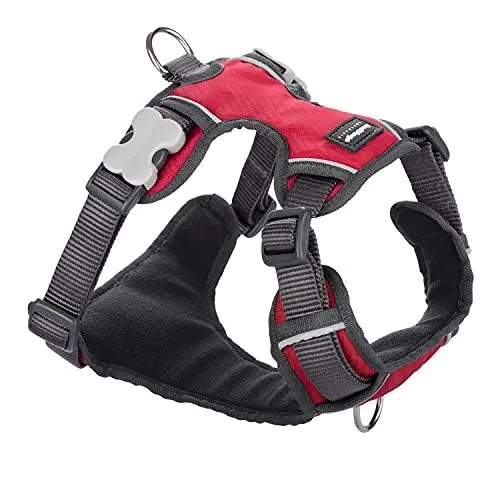 Produktbild: Red Dingo DH-PH-RE-SM Hundegeschirr, gepolstert, Größe S, Rot