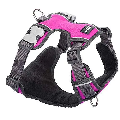 Produktbild: Red Dingo Hundegeschirr, gepolstert, Größe S, Hot Pink