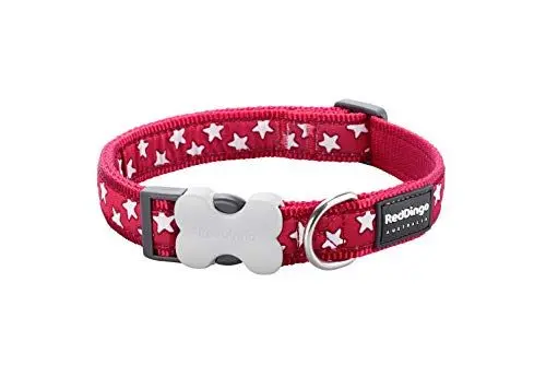 Produktbild: Red Dingo Hundehalsband, Gemustert, Größe M, 2 cm x 31-47 cm, Rot/Weiß