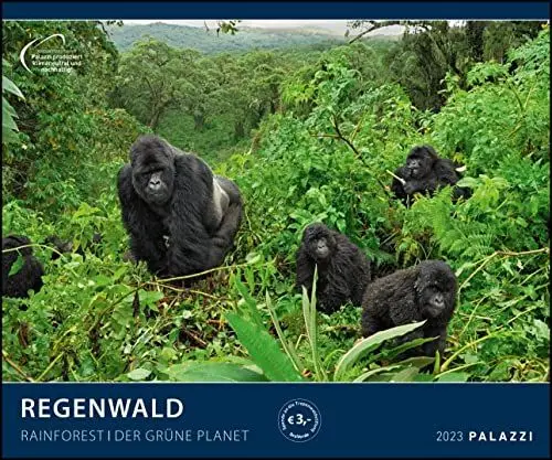 Produktbild: Regenwald 2023 - Bild-Kalender - Poster-Kalender - 60x50