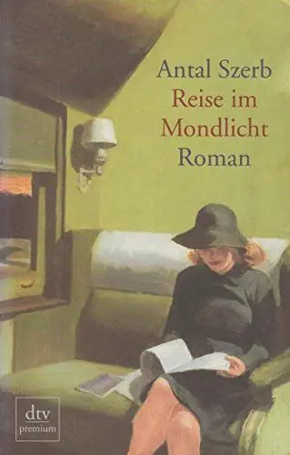 Produktbild: Reise im Mondlicht: Roman