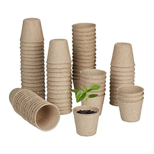 Produktbild: Relaxdays Anzuchttöpfe 80er Set, biologisch abbaubar, Zellulose, HxD: 5 x 6 cm, runde Anzuchtgefäße für Gemüse, natur