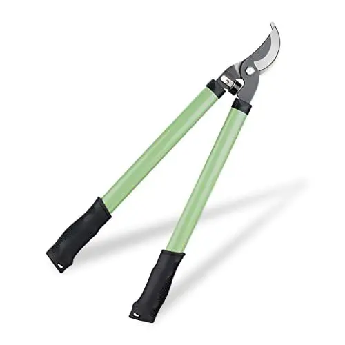 Produktbild: Relaxdays Astschere, Bypass, 20 mm Schnittstärke, für Frischholz, pflanzenschonend, Stahlklinge, Baumschere, grün
