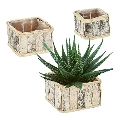 Produktbild: Relaxdays Blumentopf, 3 Größen, rechteckig, Birke, Pflanzentöpfe mit Folie, Pflanzkörbe für innen und außen, weiß/Natur
