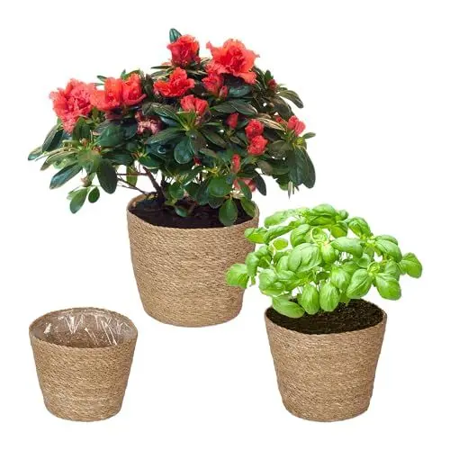 Produktbild: Relaxdays Blumentopf Seegras, 3er Set, rund, für Blumen & Kräuter, Pflanzenkorb mit Folie, 3 Größen, Pflanzkübel, Natur