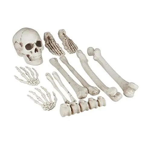 Produktbild: Relaxdays Dekoknochen, 12 TLG Set, Halloween Deko, Außen & Innen, Knochen, Totenschädel & Skeletthände, Horror Deko, XXL, Weiß