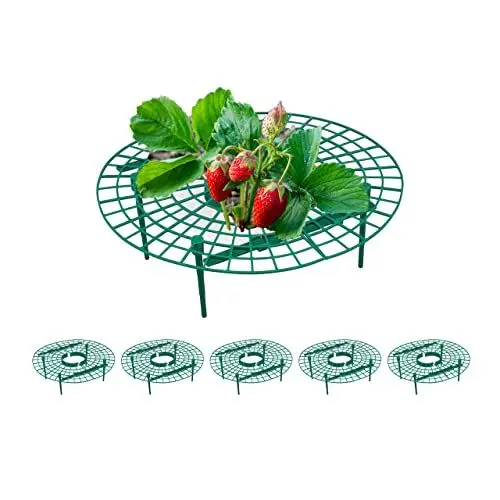 Produktbild: Relaxdays Erdbeerreifer, 6 Stück, Schneckenschutz Erdbeeren, Kunststoff, Erdbeergitter gegen Fäulnis & Schimmel, grün